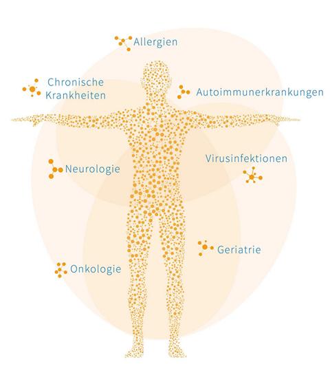 Einsatzgebiete Lymphman web